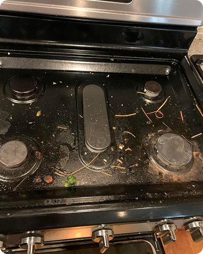 WhatsApp Image 2025-11-20 at 14.36.27