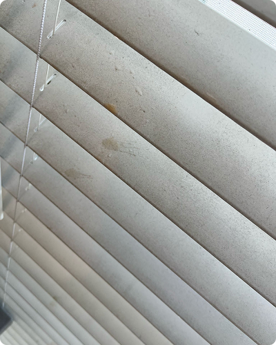 WhatsApp Image 2025-12-01 at 18.07.06 (2)